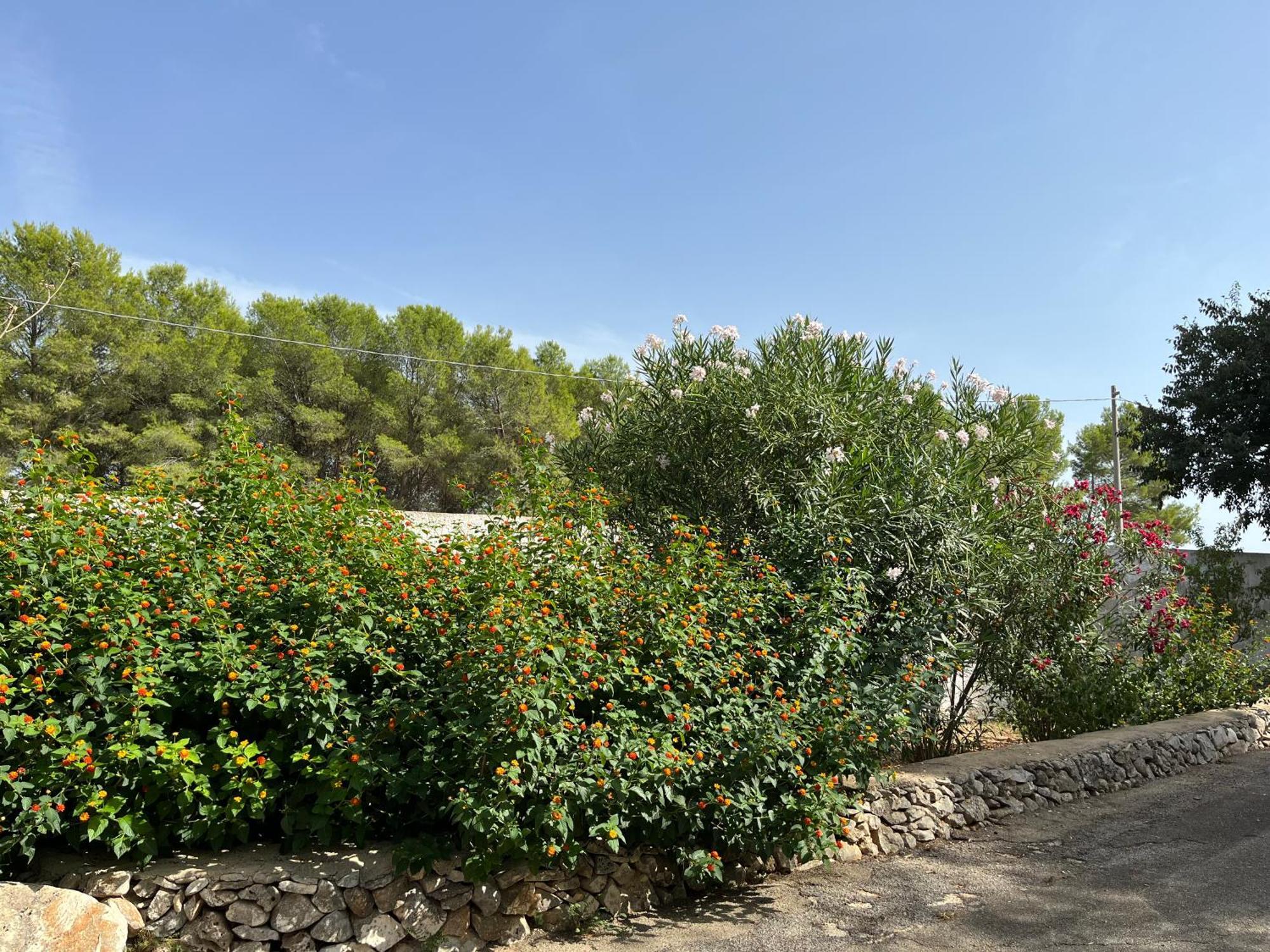 Casette Masseria La Camardia Sava Exterior photo