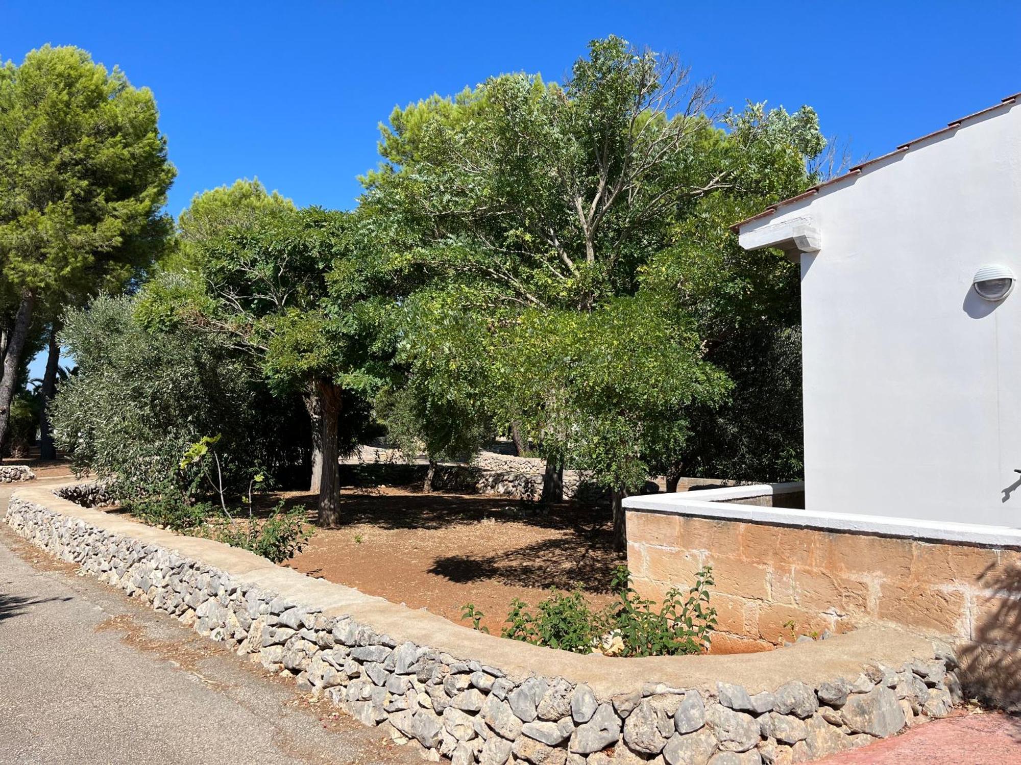 Casette Masseria La Camardia Sava Exterior photo
